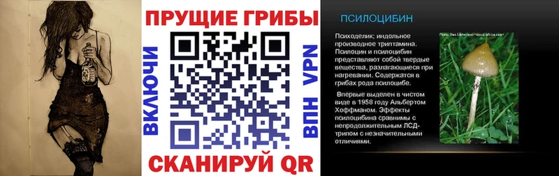 Галлюциногенные грибы прущие грибы  кракен ONION  Ухта  цена наркотик 